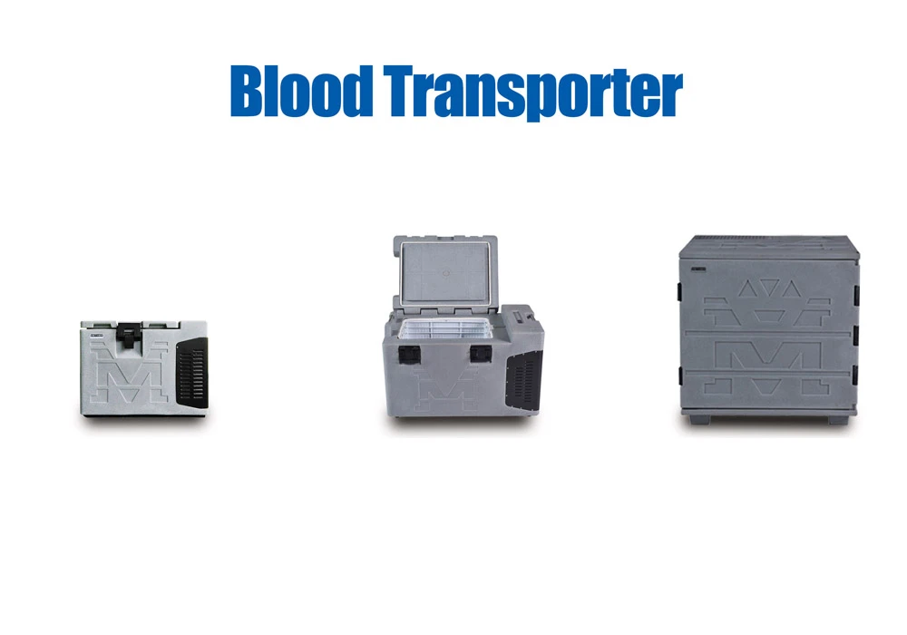 ¿Cuáles son las 5 cosas principales que transporta la sangre?