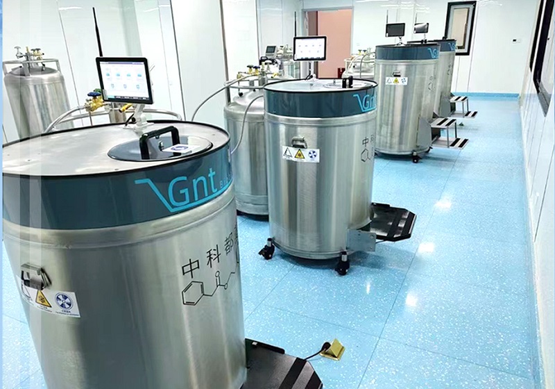 La guía definitiva para contenedores de nitrógeno líquido: esencial para el almacenamiento criogénico de muestras biológicas